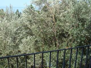 Апартаменты Apartments Orfej Свети-Стефан Апартаменты с 2 спальнями и балконом-15